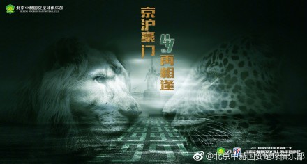 91精品国产91久久久久久青草